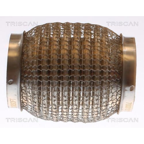 TRISCAN Flexrohr, Abgasanlage 7000 10115
