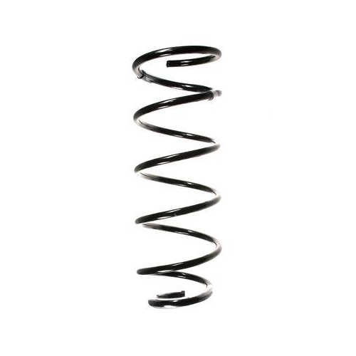 SPIDAN Fahrwerksfeder 49514