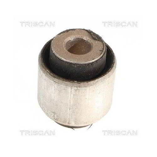 TRISCAN Lagerung, Lenker 8500 118061