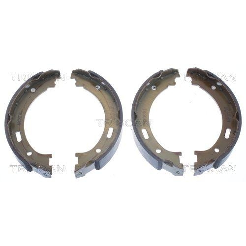 TRISCAN Bremsbackensatz, Feststellbremse 8100 80009