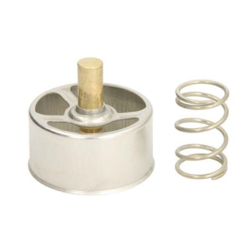 THERMOTEC Thermostat, K&uuml;hlmittel D2RV005TT