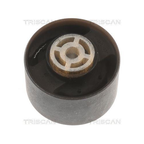TRISCAN Lagerung, Motor 8505 10113