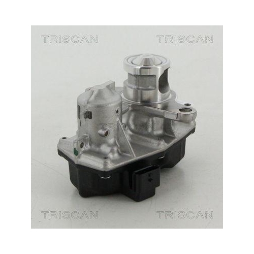 TRISCAN AGR-Ventil 8813 25042