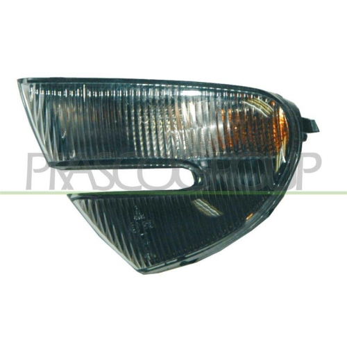 PRASCO Blinkleuchte TYC AA3404304