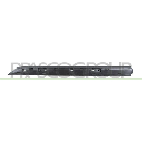 PRASCO Zier-/Schutzleiste, T&uuml;r RN3321454