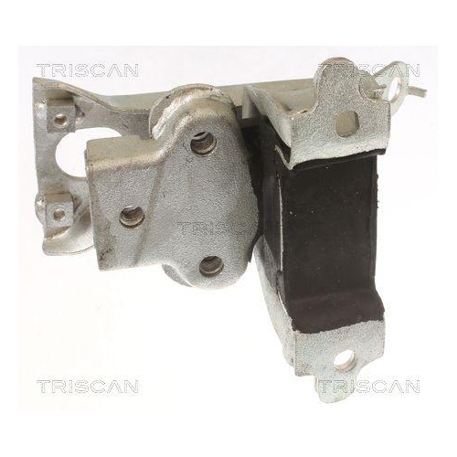 TRISCAN Lagerung, Motor 8505 10127