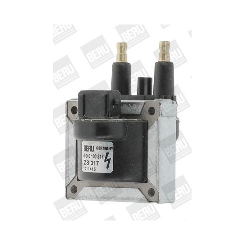 BorgWarner (BERU) Z&uuml;ndspule ZS317