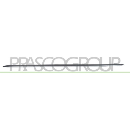 PRASCO Einstiegsleiste AD0251403