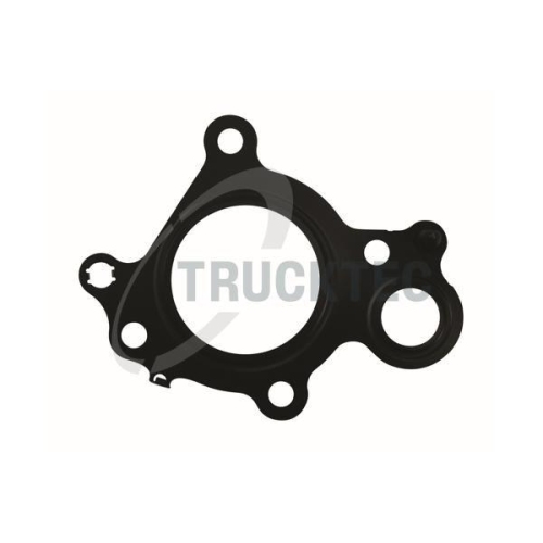 TRUCKTEC AUTOMOTIVE Dichtung, AGR-Ventil 02.16.078