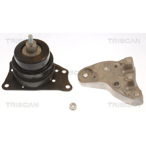 TRISCAN Lagerung, Motor