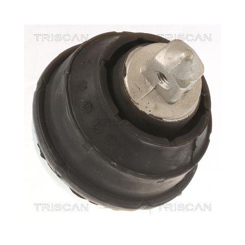 TRISCAN Lagerung, Motor 8505 11102