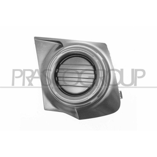PRASCO L&uuml;ftungsgitter, Sto&szlig;f&auml;nger MB8242124