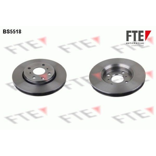 FTE Bremsscheibe 9072525