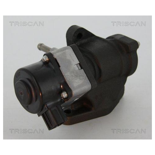 TRISCAN AGR-Ventil 8813 14005