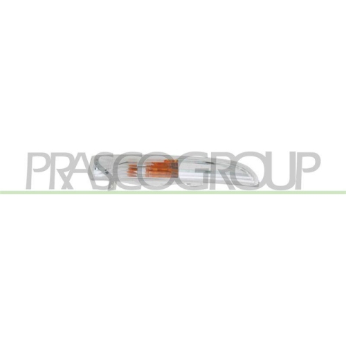 PRASCO Blinkleuchte TYC VG6204313