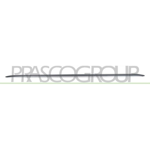 PRASCO Einstiegsleiste AD0251404