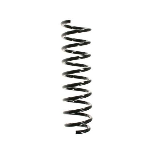 SPIDAN Fahrwerksfeder 49545