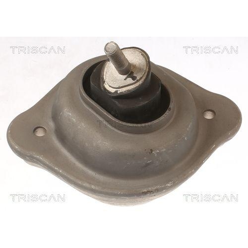 TRISCAN Lagerung, Motor 8505 11119
