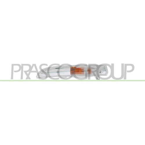 PRASCO Blinkleuchte TYC VG6204314