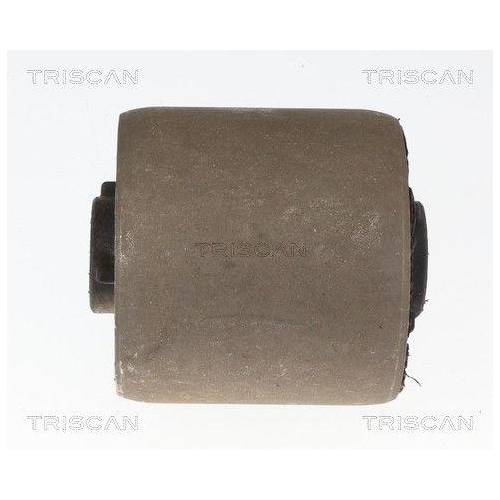 TRISCAN Lagerung, Lenker 8500 118060