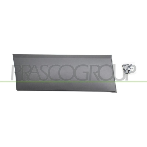 PRASCO Zier-/Schutzleiste, Kotfl&uuml;gel OP9361465