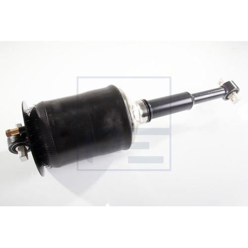PE Automotive Sto&szlig;d&auml;mpfer 033.295-00A