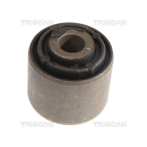 TRISCAN Lagerung, Lenker 8500 81814