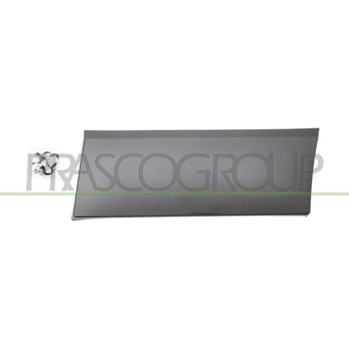 PRASCO Zier-/Schutzleiste, Kotfl&uuml;gel OP9361466