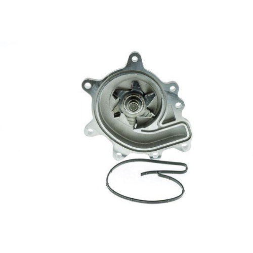 AISIN Wasserpumpe, Motork&uuml;hlung WPG-700