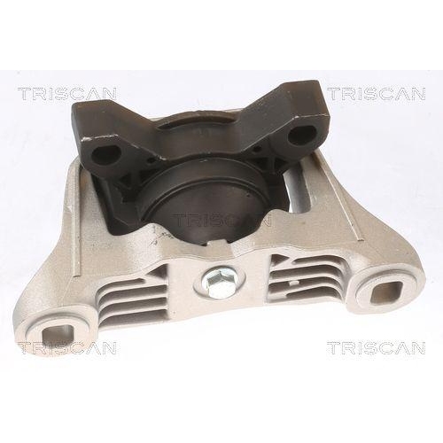 TRISCAN Lagerung, Motor 8505 16101