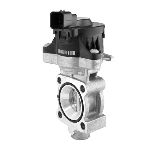 BorgWarner AGR-Ventil OE-Version/Erstausr&uuml;stung 710445D