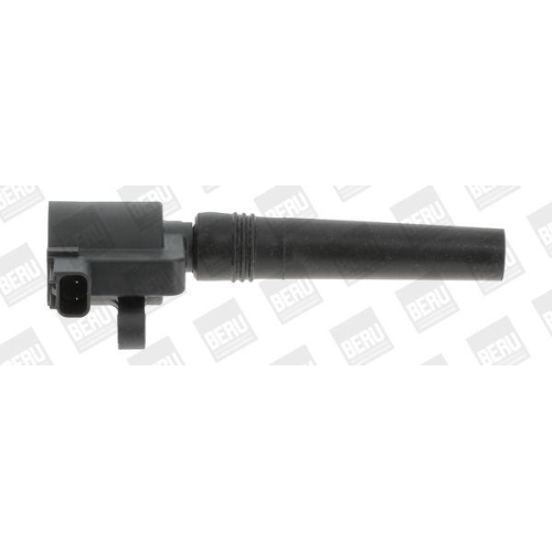 BorgWarner (BERU) Z&uuml;ndspule ZS368