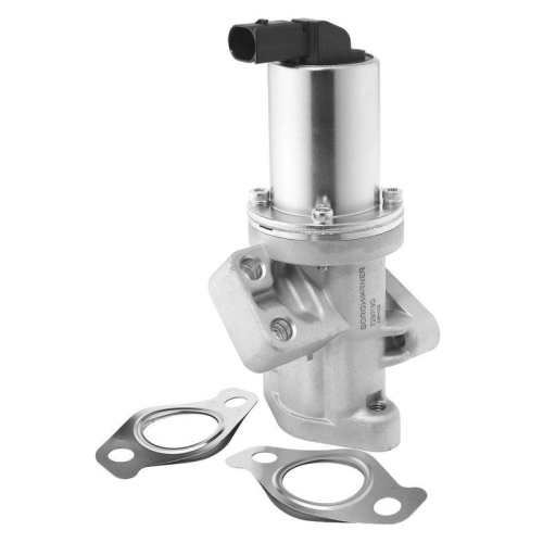 BorgWarner AGR-Ventil 729019D