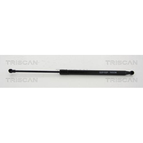 TRISCAN Gasfeder, Koffer-/Laderaum 8710 24255