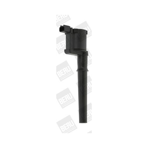 BorgWarner (BERU) Z&uuml;ndspule ZS369