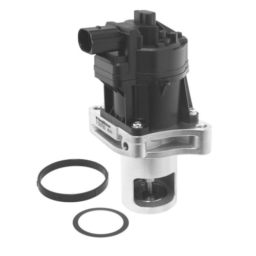 BorgWarner AGR-Ventil 712076D