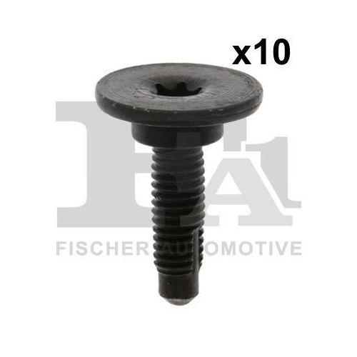FA1 Schraube 33-70003.10