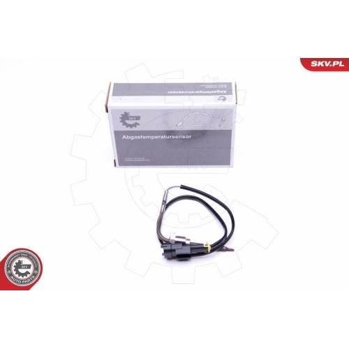 ESEN SKV Sensor, Abgastemperatur 30SKV276