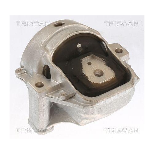 TRISCAN Lagerung, Motor 8505 29155