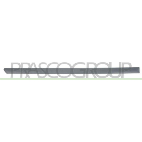 PRASCO Zier-/Schutzleiste, T&uuml;r VG0211463