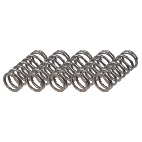 TRW Kupplungsfedernsatz MEF359-5