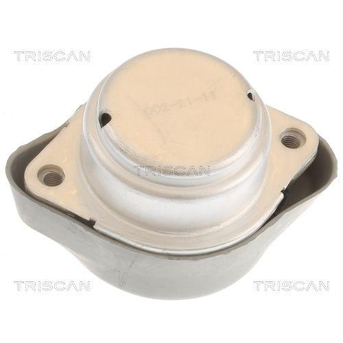 TRISCAN Lagerung, Automatikgetriebe 8505 29201