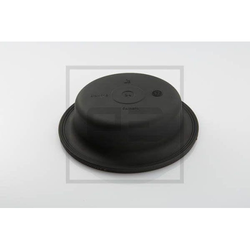 PE Automotive Membran, Federspeicherzylinder 076.415-10A