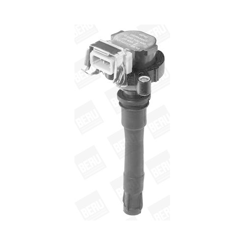 BorgWarner (BERU) Z&uuml;ndspule ZS435