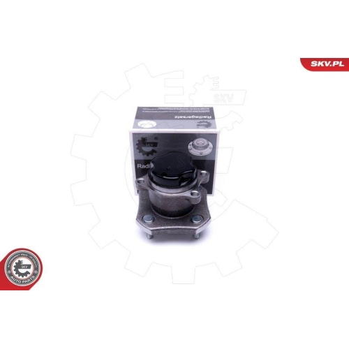 ESEN SKV Radlagersatz