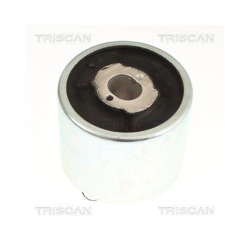 TRISCAN Lagerung, Lenker 8500 118059