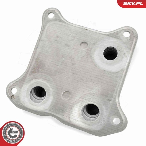 ESEN SKV &Ouml;lk&uuml;hler, Motor&ouml;l 31SKV289