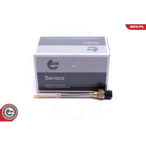 ESEN SKV Sensor, Motor&ouml;lstand