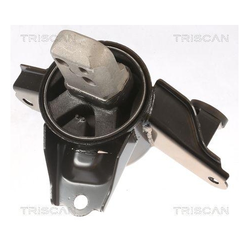 TRISCAN Lagerung, Motor 8505 43108