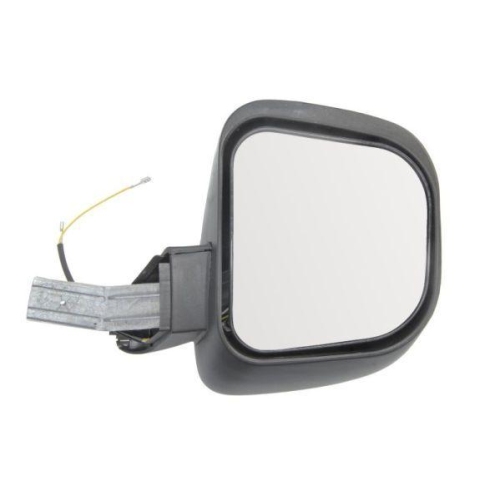 PACOL Au&szlig;enspiegel SCA-MR-006
